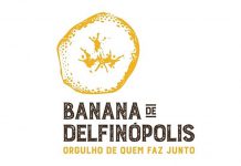 Marca coletiva fortalece produção de banana em Delfinópolis2