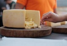 Nomes de queijos como parmesão e gorgonzola podem ser proibidos de serem utilizados em SC