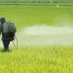 Governo libera o registro de 38 agrotóxicos genéricos para uso dos agricultores