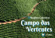 Café do Campo das Vertentes conquista selo de Indicação Geográfica