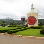Cidade paranaense entra com registro para nova IG de vinho