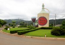Cidade paranaense entra com registro para nova IG de vinho