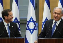 Novo presidente de Israel receberá juramento presidencial na forma de um NFT